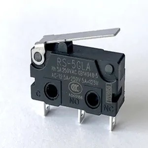 Micro-interrupteur 3 broches SPDT RS-5GLA Mini Micro Commutateur