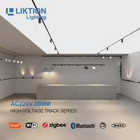Système d'éclairage sur rail magnétique intelligent WiFi 2.4G Tuya Zigbee Dali avec gradation et 3 températures de couleur modifiables, 90-265V CRI90, pour les marchés russe et européen