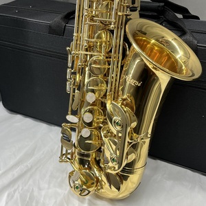Saxophone <span class=keywords><strong>alto</strong></span> en laiton coloré de marque Sinomusik, instrument de musique à vent professionnel, avec logo personnalisé, vente en gros, directement de l'usine - Product Image 4
