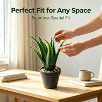 Plantes artificielles de bureau en aloe vera varié réaliste de 30 cm pour la décoration de la maison et du bureau, petite plante artificielle verte décorative