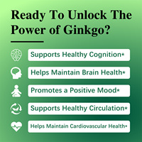 Comprimés d'extrait de Ginkgo Biloba - 100 unités végétaliennes - Complément alimentaire à base de plantes pour le soutien cérébral