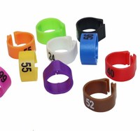 QA plastique oiseau jambe bandes caille oiseau suivi course Pigeon perroquet jambe pied anneaux