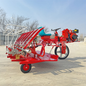 Trasplantadora de arroz de 6 filas, automática, con motor diésel, para campos agrícolas - Product Image 3