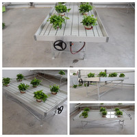 Banc de culture moderne en aluminium pour plantes remontantes Plateaux de table hydroponiques pour semis roulants et reflux pour le jardinage intérieur