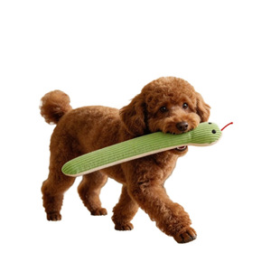 Juguetes Masticables Resistentes, Material de Felpa con Sonido, Higiene Dental, Artículos para Perros y Gatos, Juguetes Interactivos - Product Image 1