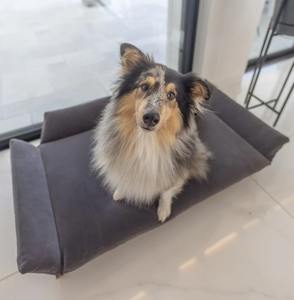 بيع بالجملة سرير حيوانات أليفة حديث ونمط صلب وصلب ، وسادة خشبية للقطط والكلاب للحيوانات الصغيرة أثاث OEM مخصص - Product Image 5