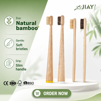 Brosse à dents en poils de cheval naturels biodégradables personnalisée BSCI, manche lisse et arrondi, brosse à dents en bambou biologique avec poignée pour adulte