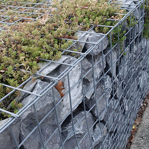 ISO 9001 Certified Welded Gabion Basket Galvanized Steel Construction 2x1x1m for <strong>Retaining</strong> <strong>Walls</strong> Welded Gabion Basket - Product Image 2