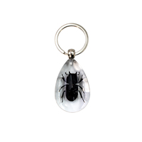 Pendentif en résine ambre avec insectes réels, goutte d'eau en résine de luxe, insectes, fleurs, animaux, porte-clés portables