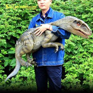 Mi Dinosaurio DP624, Dinosaurio Bebé Velociraptor, Marionetas Animatrónicas, Juguetes - Product Image 6