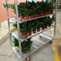 Étagère personnalisée en treillis métallique pour l'horticulture chariot de transport de plantes à fleurs chariot d'affichage