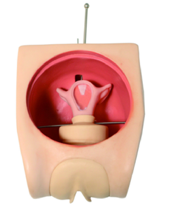 Modelo de Práctica Anticonceptiva Femenina Yulin, Aplicable en Medicina para la Educación Continua en <span class=keywords><strong>Obstetricia</strong></span> <span class=keywords><strong>y</strong></span> Ginecología, CE/ISO - Product Image 3