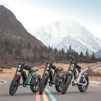 Vélo tout-terrain électrique à pneus larges de 20 pouces Vélo de montagne électrique 48V1500W Vélo électrique urbain 48V500W