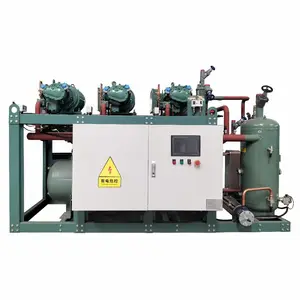 Refrigeration Compressor For Cold Room Freezer Compact Screw Compressor and Evaporate Unit