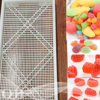 Plateau de séchage des bonbons en plastique abs, 10 pièces, à prix bas, pour bonbons au chocolat, gomme molle