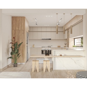 48小时免费设计环保现代白色漆面/亚克力木质模块化厨房橱柜水槽水龙头抽屉滑轨公寓厨房柜 - Product Image 3