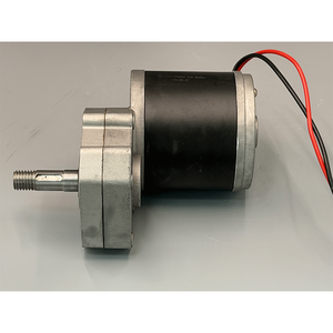 Motore DC a spazzole ad alta potenza 12V 24V 600W con albero di uscita da 18mm per la sostituzione del motore di tosaerba elettrico - Product Image 1