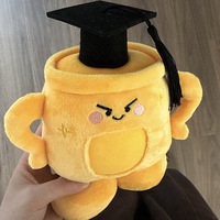 Cadre photo en peluche personnalisé pour diplômés de la promotion 2026, jouet en peluche, cadeau de remise de diplôme universitaire, souvenir, fabricant OEM/ODM