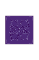 Tuiles de Mahjong de Luxe Officieusement Licenciées TCU Horned Frogs, en Acrylique Premium Écologique, Ensemble de Mahjong Américain pour Soirées de Jeu des Anciens Étudiants