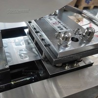 Machine d'emballage sous blister entièrement automatique pour petits liquides, idéale pour les parfums de voiture, les désodorisants liquides à membrane respirante et le conditionnement du ketchup.
