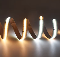 Bande LED COB numérique adressable CCT, température de couleur réglable, sans points, lumière linéaire blanche réglable