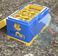 Nouvelle conception HDPE abeille reine boîte d'accouplement en plastique ruche d'abeille mini boîtes d'accouplement