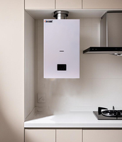 Chaudière murale à gaz haut de gamme 24 kW avec réservoir d'eau latéral, échangeur de chaleur à plaques