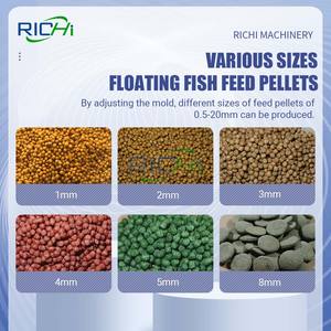 RICHI iyi geribildirim 5-6 t/h balık yayın balığı yem ekstrüder fabrika fiyatı ile bitki - Product Image 2