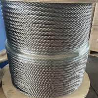 Câble en acier inoxydable 7X19 à âme en acier WSC pour avion 316 304 4mm 5mm 6mm 8mm 12mm 16mm 18mm 20mm 24mm 28mm