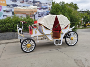 Produits en promotion : Chariot de chevaux électrique d'extérieur HengYiSheng pour 6 personnes avec toit, idéal pour mariages romantiques - Henan - Product Image 4
