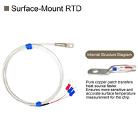 Waterproof PT100 Temperature Sensor Stainless Steel Platinum RTD Embedded Fast Response Industrial Probe