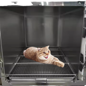 <span class=keywords><strong>Cage</strong></span> à chat professionnelle à 4 sections-Chenil vétérinaire en acier inoxydable avec serrure et roues, enceinte d'hôpital pour animaux de compagnie pour abri - Product Image 4