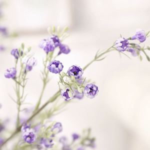 LO-09 Vente en gros de fleurs artificielles Gypsophila en latex de 81 cm, toucher réel, pour la décoration de la maison, des mariages, des hôtels et des remises de diplômes - Product Image 2