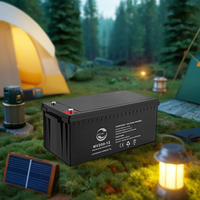 Batterie solaire certifiée CE 12V 200AH pour le type scellé AGM au plomb pour le stockage d'énergie
