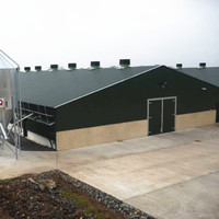 Edificio de Granja Avícola con Estructura de Acero Industrial de Alta Calidad para 20,000 Pollos de Engorde