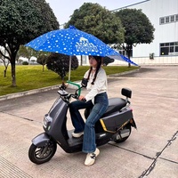 Vente d'usine : Vélo électrique avec parapluie |   Pare-soleil imperméable avec revêtement argenté, design résistant au vent