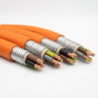 Kabel Listrik Inti Tembaga Berisolasi Mineral Tahan Api RTTZ 3+1 untuk Proyek Konstruksi