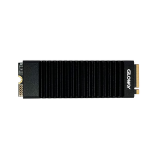 Gloway1TB 2TB 4TBSSD katı hal sürücü M.<span class=keywords><strong>2</strong></span> arayüzü (protokol) PCIe 4.0x4 Shence serisi siyah efsane kurulum yükseltme - Product Image 3