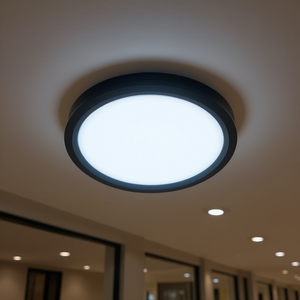 Lámpara de Techo LED de Superficie de 12 W, Blanco Frío 6500 K, Cuerpo de Aluminio, Cubierta de Plástico, 220 mm de Diámetro, Diseño Minimalista para Hogar y Oficina - Product Image 2