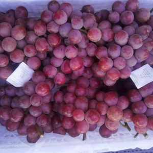 Fruits du raisin naturel en forêt, 2 pièces, égyptien doux, <span class=keywords><strong>de</strong></span> haute qualité - Product Image 6