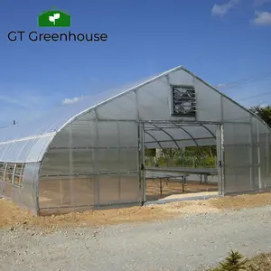 Kwaliteit Hoophouse Voor Zaad Groeiende