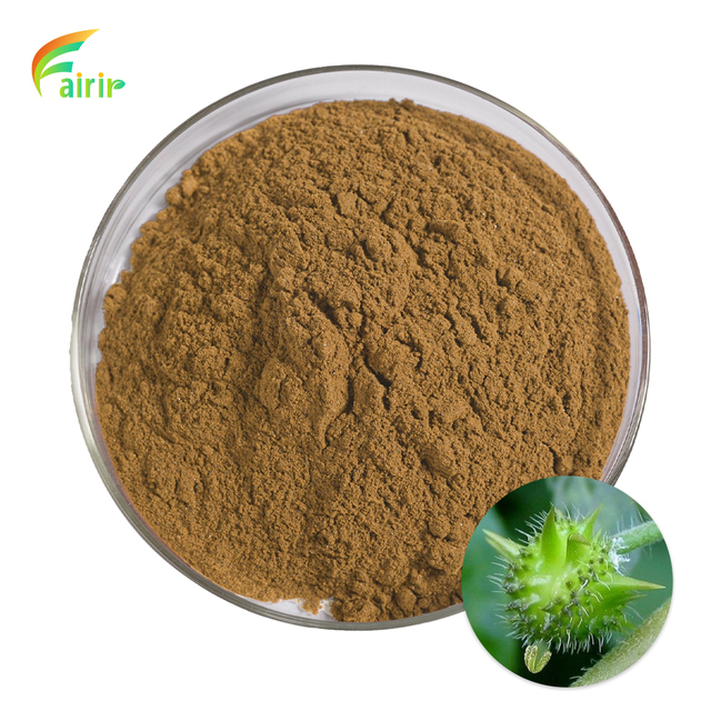 Factory Supply 40% to 90% Tribulus Terrestris Extract Powder Dietary Supplement Botanical Raw Material Bulk