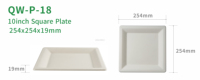 Vente en gros d'assiettes jetables biodégradables de canne à sucre de 10 pouces conception compostable carrée pour le camping plateau de dîner