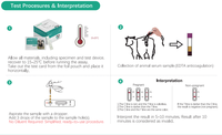 Kit de test de grossesse bovine rapide Détection précoce Vache Bovin Bandelette de test sanguin entier Nouvelle condition