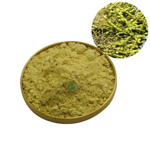 Флавоноид Кемпферол из экстракта софоры японской, травяная добавка, 10%~98% чистый порошок кемпферола по заводской цене - Product Image 1