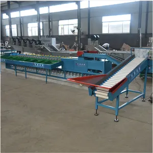 Avocado Fruit Washing Waxing Drying Grading Line Weight Sorting Machine