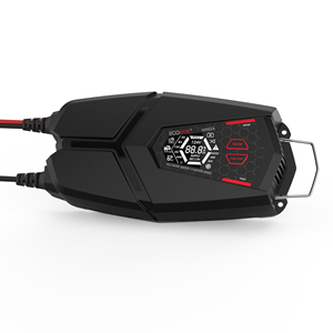 Cargador Inteligente de Batería para Motocicletas Eléctricas, Bicicletas, Automóviles y Autocaravanas, 12V 24A, Carga Rápida - Product Image 5
