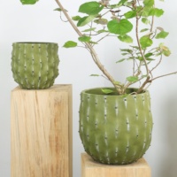 Pot de fleurs créatif en ciment motif cactus, grand calibre, décoration artistique, motif circulaire, simple, vert, crème, international, Heals