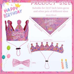 ชุดคอสตูมห่านสำหรับวันเกิดแบบมีหลังคาแยกสี ขนาด 23 / 17 นิ้ว - Product Image 2