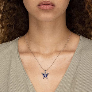 תליון פרפר זיכרון לחיית מחמד, עשוי פלדת אל-חלד יוקרתית עם קריסטל בצורת גיאומטרית, שרשרת לאחסון שיער קרובי משפחה. - Product Image 5